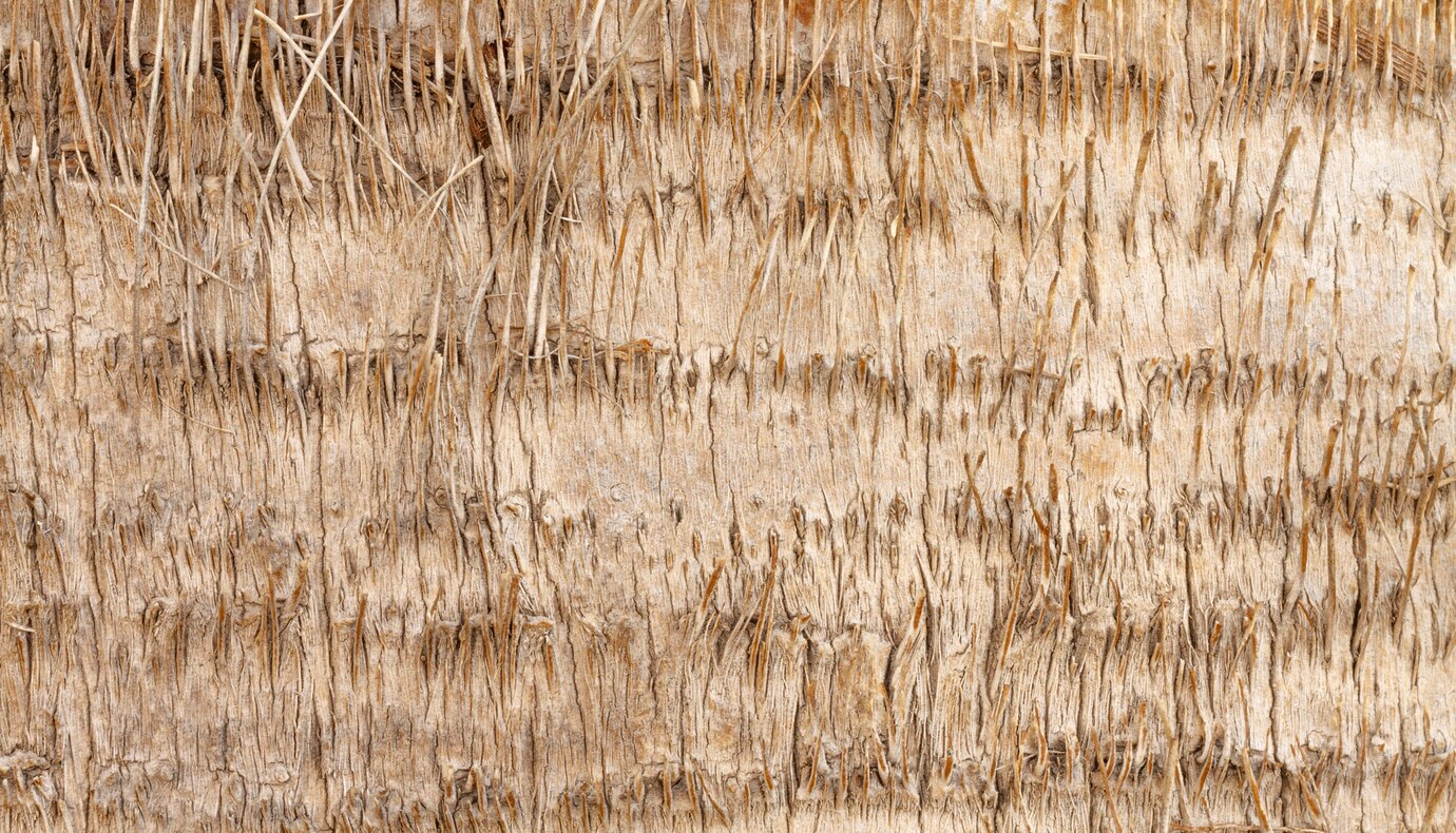 flat-lay-hay-composition_23-2148849306